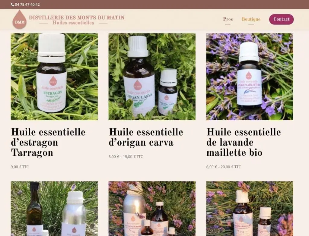 Site de présentation de produits woocommerce