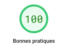 Site wordpress : optimisation des bonnes pratiques 100% !