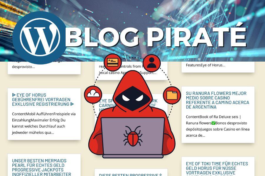 Blog wordpress piraté
