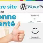 Santé de votre site wordpress -webmaster valence